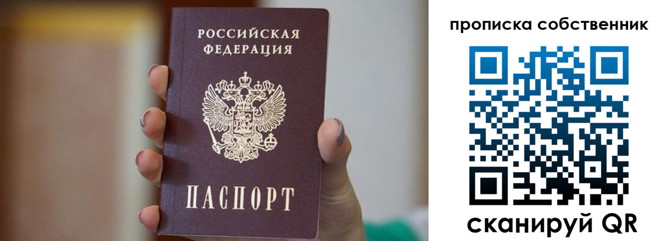 прописка поиск в Людиново